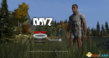 DayZ 独立版 设置界面翻译 设置选项汉化