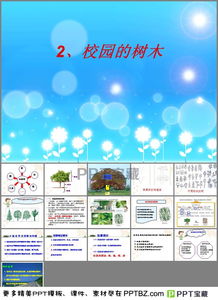 如何下载课件ppt 可以购买最新的优质课件的网站