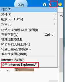 win10怎么看ie版本