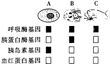 动物都能进行有氧呼吸吗（动物都能进行有氧呼吸吗为什么） 第1张