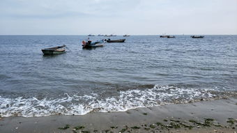 蓬莱海滨 蓬莱海滨浴场风景图片 