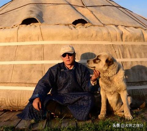 草原猛犬并非只有藏獒,这4种草原猛犬堪称 屠狼机器