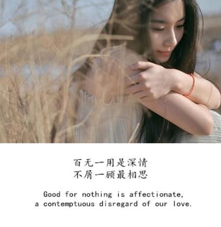 Nothing is affectionate.百无一用是深情,不屑一顾最相思 