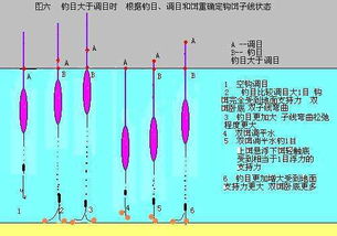 如何使用矶竿带漂钓鱼图解 