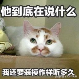 网友表示家里的猫咪有点吸不动了,想请 吸猫 大神来帮忙 