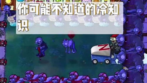 pvz你可能不知道的冷知识 全部都知道的一定是大神 