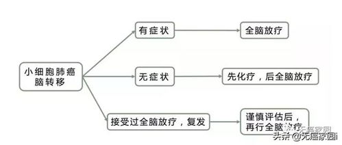 小细胞肺癌如何预防脑转移(小细胞肺癌转脑癌临死前的15个征兆)