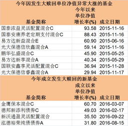 股市这么差 竟然有两只基金一天暴涨超过30