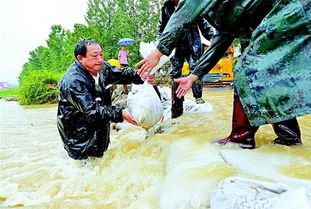 图文 洪水冲不垮精神的堤坝