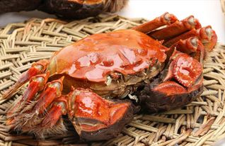 吃大闸蟹的最佳季节是什么时候 大闸蟹要怎么吃哪些地方最好不要吃