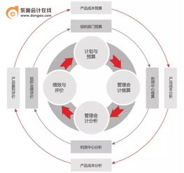 管理会计哪些方面体现能够融入业务流程？