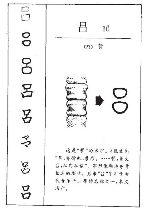 吕的意思 吕字五行属什么 吕字取名的寓意 