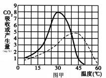 植物的有机物净积累量指什么