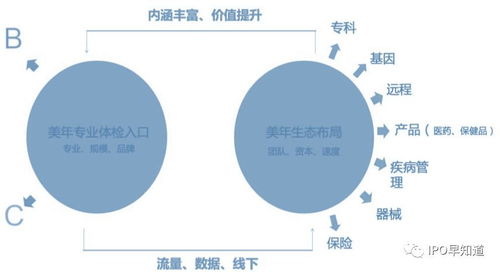 美年大健康内部员工可以持要内部股票吗