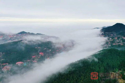 少见 庐山翻腾的云海,你一定没看过