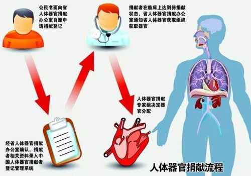 观影活动 你的爱心是我活下去的希望 