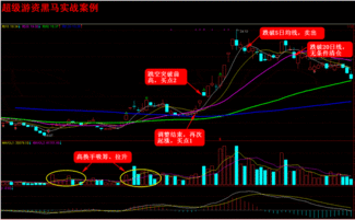 老马游资黑马公式怎么选不出股票