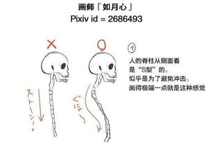 人体结构绘画教程