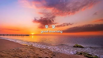 最新早安图片阳光带字 早安心语简短一句话 