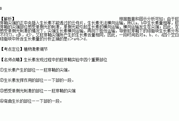 某公司A，其股东为公司B和个人C。法人为个人D（B公司其实是D的家族企业）现企业盈利，利润分配。