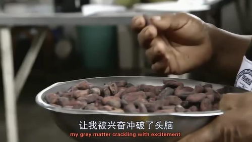 食物的秘密 可可豆被放到炉子里面,然后烘烤可可豆 