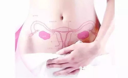 经常熬夜影响卵巢健康吗，可以试管吗？