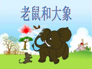 老鼠和大象 课件 2 