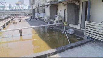 沿街商铺楼顶污水成池恶臭难闻 小区居民都不敢开窗