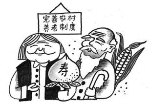专家 中国农村老人面临多重养老困境 