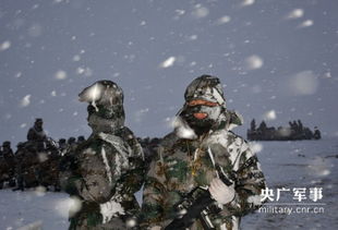 羌塘草原六月飞雪 汽车团雪地开拔 