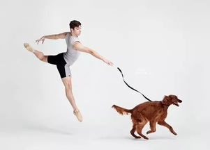与狗狗共舞的芭蕾舞者