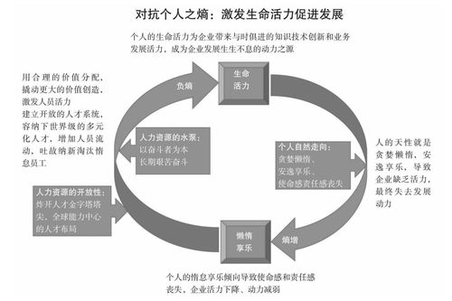 五张图片初探任正非提出的熵 熵增 熵减概念和华为的活力之源