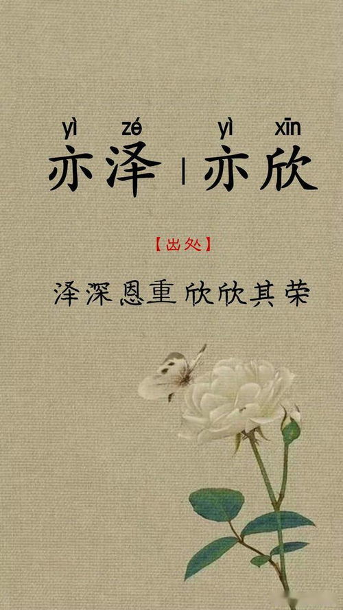 一儿一女起通用鼠宝宝名字