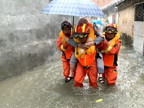 就算整个城市被暴雨颠倒 他们依然帅得刚好