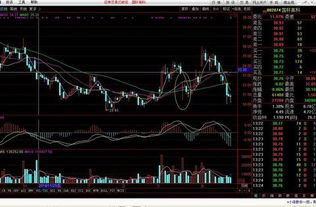 配股方案确定后为什么股价下跌