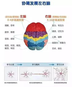 浅谈珠心算的益处