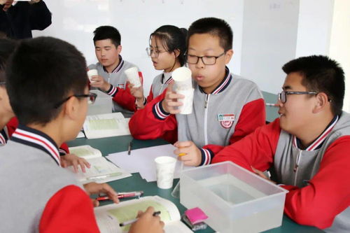 小学校内减负方案模板(小学校内减负方案模板怎么写)