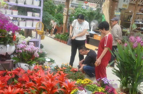 附近鲜花批发市场在哪里,唐山最火的花卉市场？