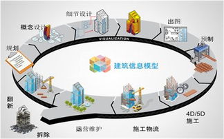 上海有哪些项目用了BIM？