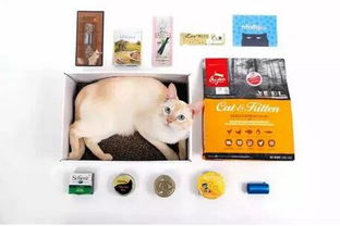 猫咪订阅 魔力猫盒 