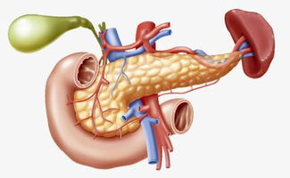 胰腺癌5年生存率不足5 ,早期胰腺癌的9个预兆不可不察