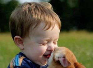 萌上天 看这些镜头下的宝宝与小动物的温馨瞬间