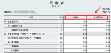 新公司11月份成立，没营业，当年的财务报表怎么做。