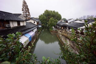 绍兴之旅 雨游八字桥 