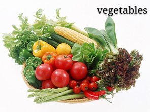 vegetable怎么读