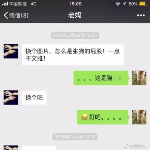 留学生母女聊天记录曝光 老妈竟因一个头像要和我断绝关系