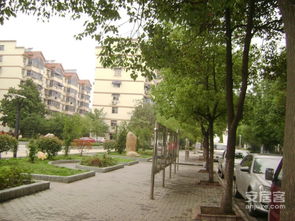 南京康华小区 实景图 150 南京安居客 