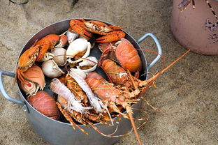越南芽庄旅游吃海鲜泰国越南哪个海鲜便宜（越南吃海鲜最便宜的地方）