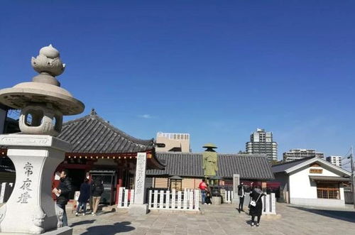 表情 日本游记大阪之四天王寺,动物园,海游馆,摩天轮 四天王寺 动物园 摩天 ... 表情 