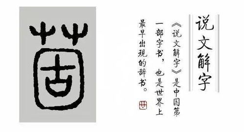 阅江宁 悦传承 江图带 宁 走进 说文解字 第五十五课 古代叫 藸 ,现在的 五味子 指哪五味